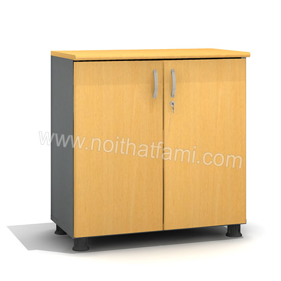 Tủ Tài Liệu thấp SM6220FH